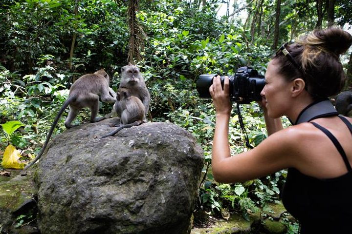 Inside Ubud monkey forest
